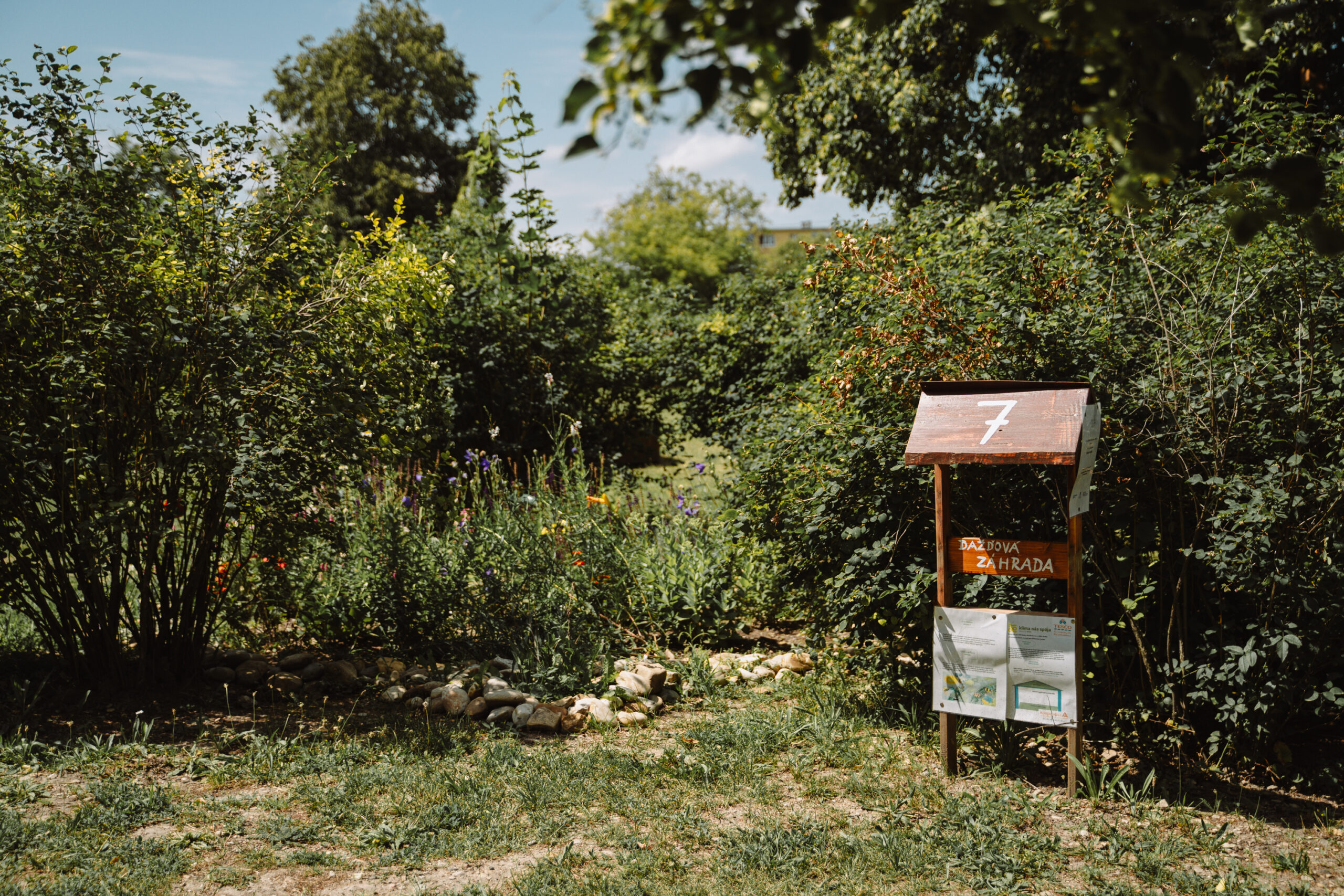 Dažďová záhrada v materskej škole v Skalici